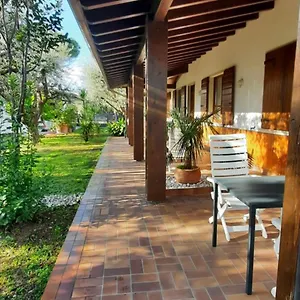  Apartment Elisa Holidays